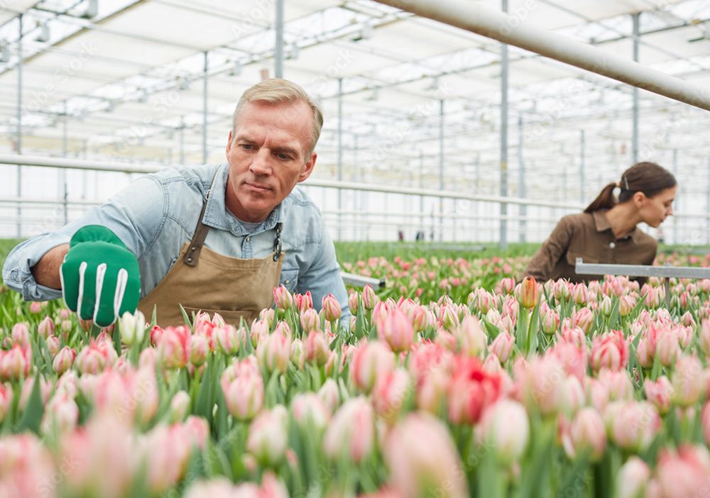 One Flora Group onze bedrijven galerij